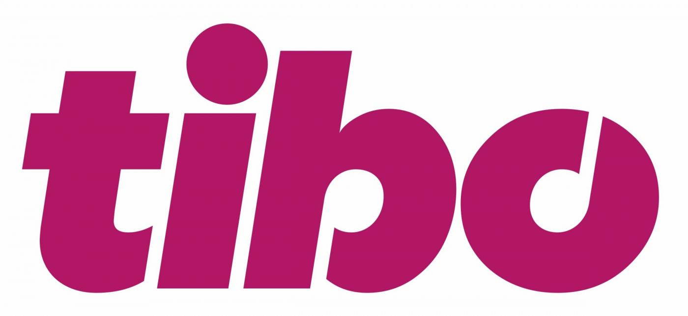 Вузы Беларуси – постоянные участники TIBO